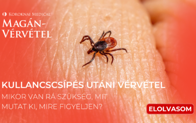 Kullancscsípés utáni vérvétel – Mikor van rá szükség, mit mutat ki, mire figyeljen?